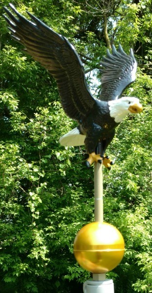 12" Natural Eagle 